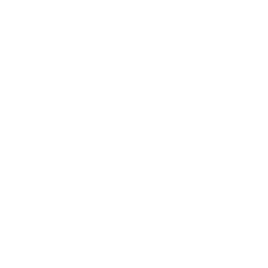 Consiglio Nazionale dei Geologi